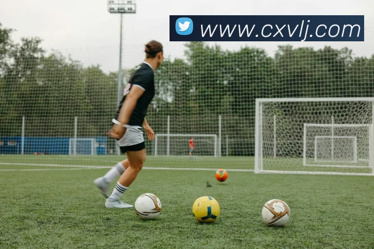 奖项证书